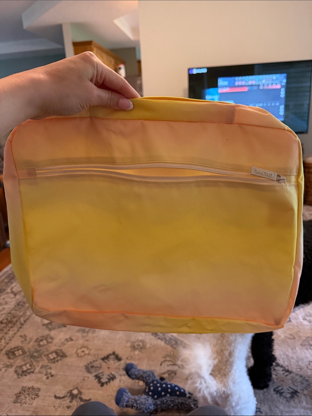Calpak Yellow Mesh Packing Cube with Top Handle - Picture 3 of 3